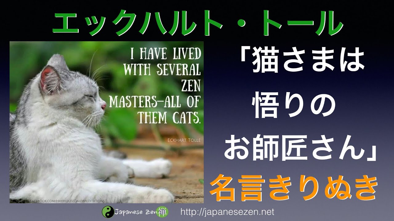 名言 エックハルト トール 猫さまは禅のお師匠さん 英語で禅 さとりを開くと人生はシンプルで楽になる 日本の叡智 Japanesezen Youtube