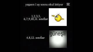 aga bee... #ytdayibenionecikarnolur #keşfetbeniöneçıkar #okul #keşfet