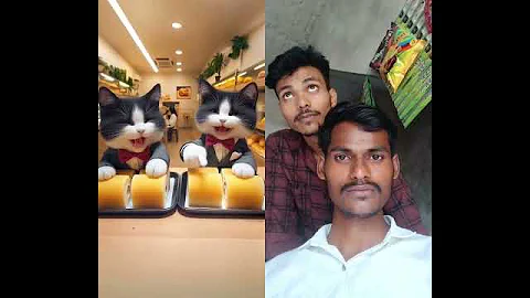 Watch the video about Cat sad story #sad #catstoryvideo #newvideo #instagramfunnymemes #instagramreels #memes #funny