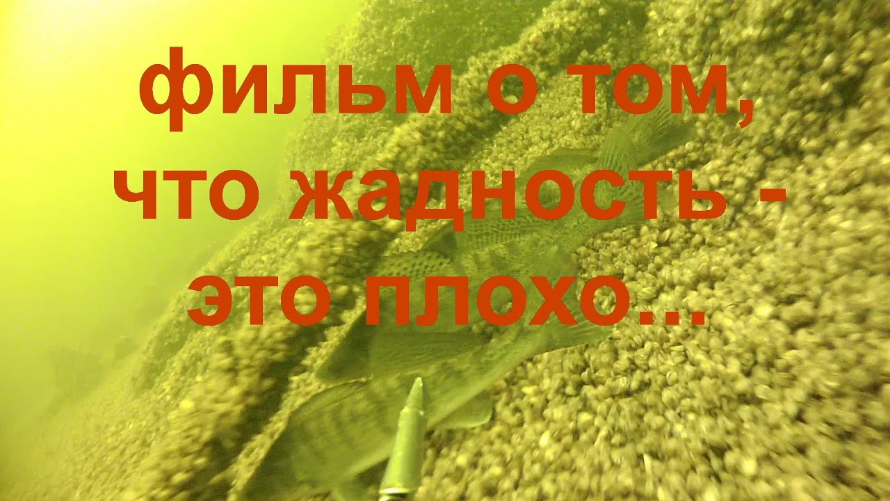 Почему перекупы это плохо