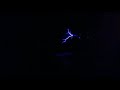 Pat &amp; mat theme on a tesla coil