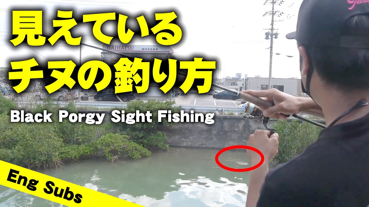 Black Porgy Sight Fishing Youtube