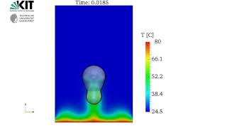 Simulation of Bouncing Drop Impingement on Heated Hydrophobic Surfaces