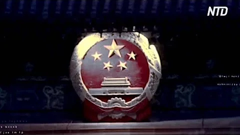 Tribunal investigates allegations of forced organ harvesting in China