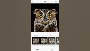 Mention users when posting to Instagram via Hootsuite