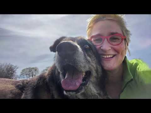 Let happiness come with your new dog!