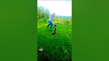 Kinemaster Editing video by Vfx 🐍 snake bhola baba de de not#funny #vfxgaurav #vfxshort #gaurav #vfx