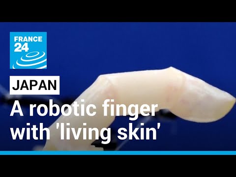Scientists create robotic finger with &#039;living skin&#039; • FRANCE 24 English