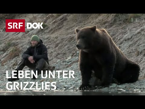 Video: Wo leben Grizzlybären?