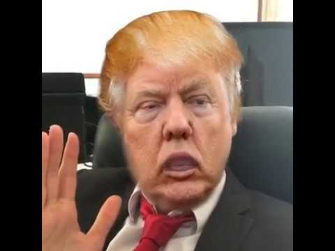 Trump wiretapping