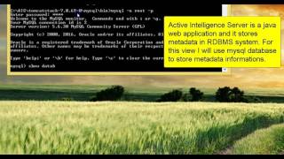 Active Intelligence Server 1.0.1 With Bitnami Tomcat Stack Installation, BI Solutions