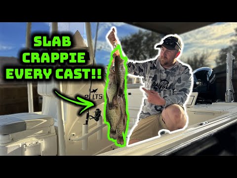 HOW to CATCH LIMITS of slab CRAPPIE!! | Proven technique! |