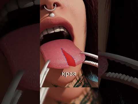 Язык ящерицы у человека: зачем это делают? 🦎👅
