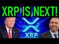 XRP WLFI TRUMP N BRAD SITUATION UNFOLDING 