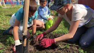 Плодовые саженцы в Центре «Семья» с.Борки