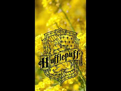 Zodiac Signs As Hogwarts Houses