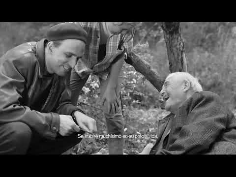 TRÁILER (VOSE) - BERGMAN, SU GRAN AÑO