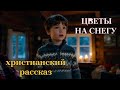 ❤️ ЦВЕТЫ НА СНЕГУ ❤️Чудесный рассказ Виталия Полозова💕
