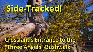 Crosslands Entrance to the Three Angels Bushwalk. 4k