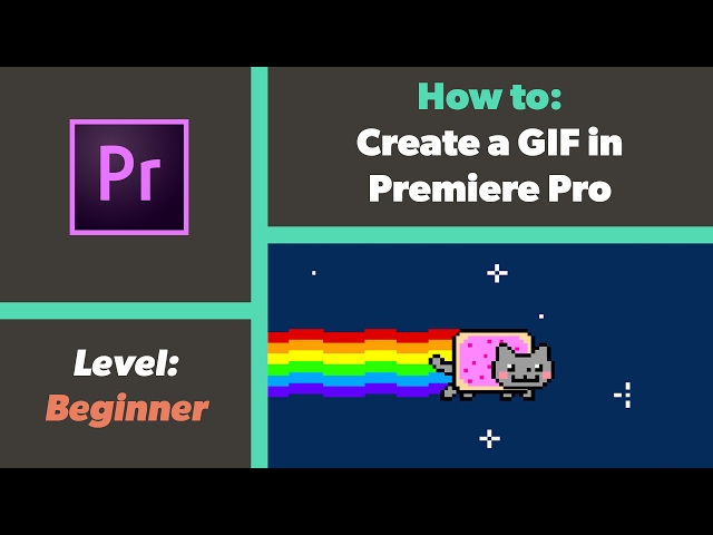 HOW TO MAKE an animated GIF in Premiere Pro and Gif Brewery - Meme Tutorial  for DEAL WITH IT 