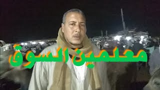 سعر عجلة جاموس قنية اليوم في سوق المواشى بدمنهور 1/ 3/ 2020