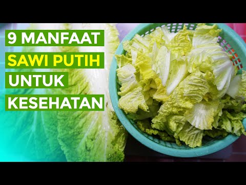 Video: Sifat Penyembuhan Sawi Putih