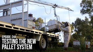Moving Bee Hives at Night Using the New Pallet System & Truck Crane | The Bush Bee Man