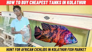 kolathur fish market vlog | buying new tank | hunt for African cichlids