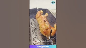 OMG! This GIANT Roasted Pig Looks INSANE! #pigroast #foodporn #bbq #delicious