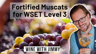 Youthful Unaged Fortified Muscats for WSET Level 3