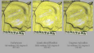 Simplification of Meshes with Digitized Radiance