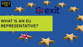 EU representative explained
