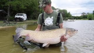 Carpfishing - Le Taillis Des Landes 4K