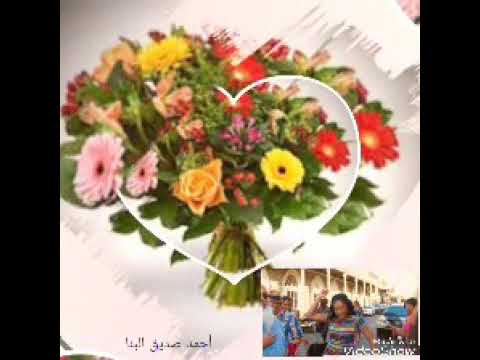 محمد الامين الموعد