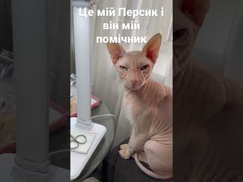 Я вишиваю картини