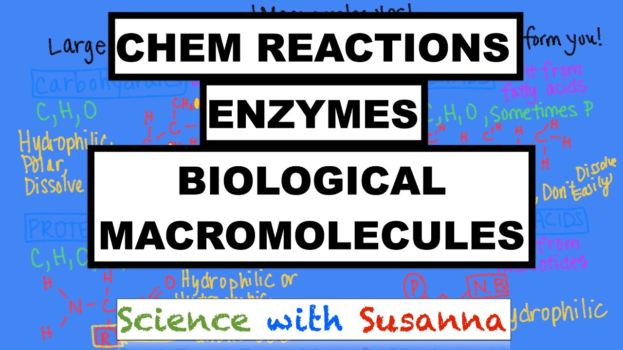 Chemical Reactions and Biological Macromolecules (for A&P students!)