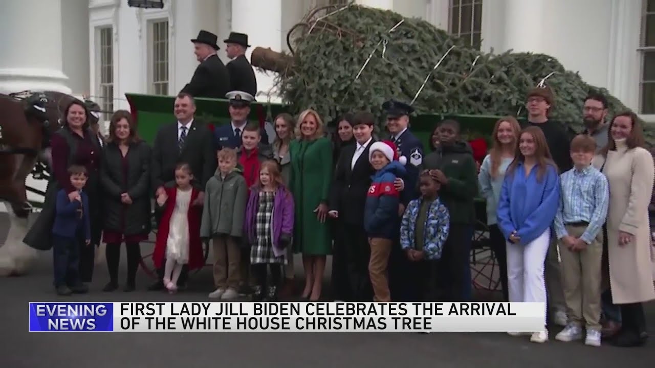 jill biden christmas dress Jill Biden's White House Christmas Display Looks Very  Normal