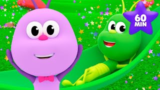 🦗Um Grilo Saltitante 🐞 BICHIKIDS🎵 MIX 🌈 PARA CRIANÇAS | O Reino infantil