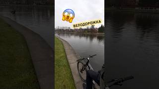 ЕДУ НА ВЕЛОСИПЕДЕ #shorts