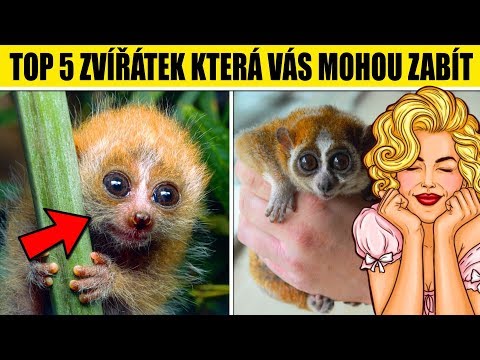 Video: Které domácí chemikálie vás mohou zabít?