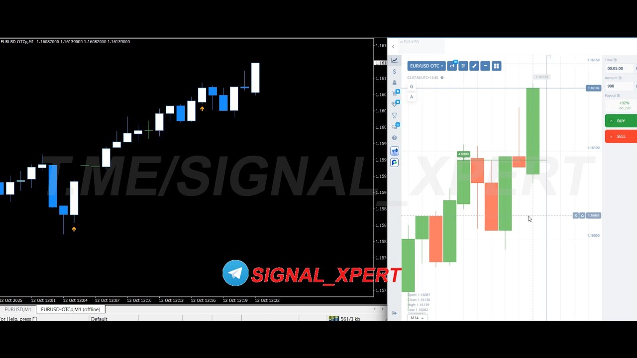 $900 Profit Using Signal Xpert on TradingView | Live Trading Results ✅😍