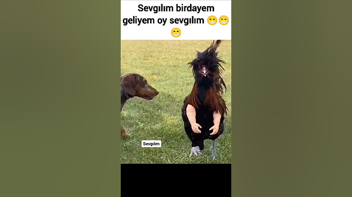 Aşko bana geliko komik tavuk #komik #tavuk #dublaj