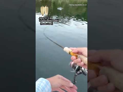 【Area trout fishing】Jekyll