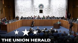 Senate Hearing on Criminal Networks and Organized Theft