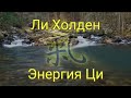 1. Цигун для начинающих. Введение. Ли Холден: "Познание энергии Ци"