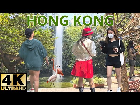 Video: Tsim Sha Tsui Hong Kong Atrakcije