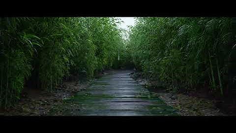 Somewhere on Earth | Unreal Engine 5 | 4k