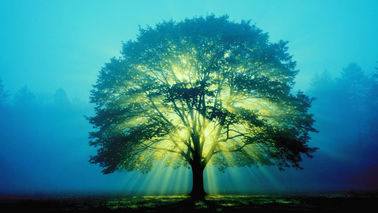 Powrót świętych dębów | slavic pagan folk metal