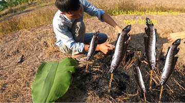 Ẩm Thực Miền Tây Cá lóc Nướng Chui Siêu Thơm Ngon , Bánh Tráng Cuốn Siêu To Hấp Dẫn : Vàng Vlog