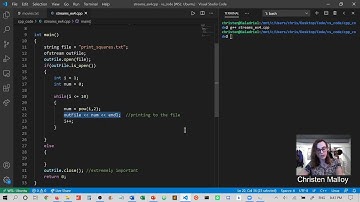 File I/O: Writing to a file (ofstream)